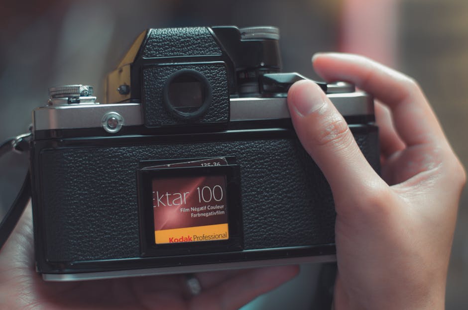 Курсы программирования и дизайна